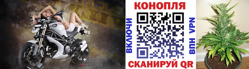 Бошки марихуана конопля Жуковский