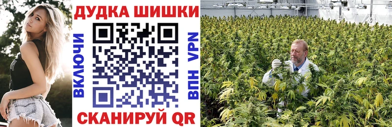 Каннабис конопля  купить закладку  Жуковский 